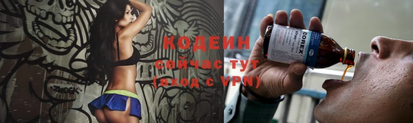 mdpv Богородицк
