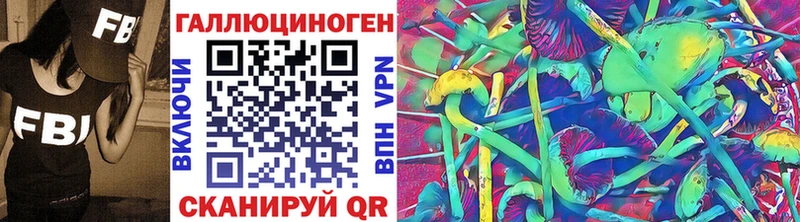 закладка Верхняя Тура Галлюциногенные грибы Psilocybe